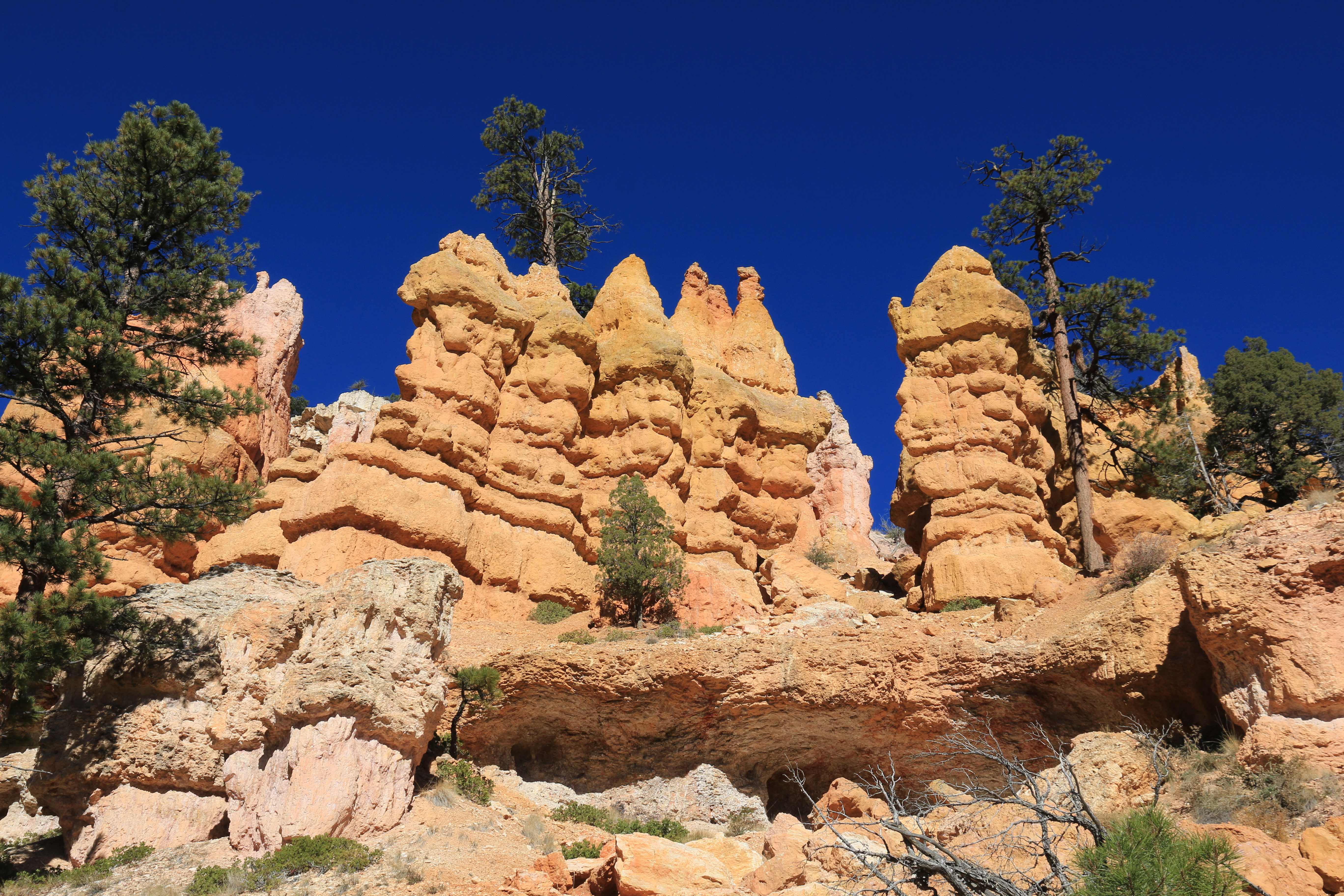 Bryce Canyon NP